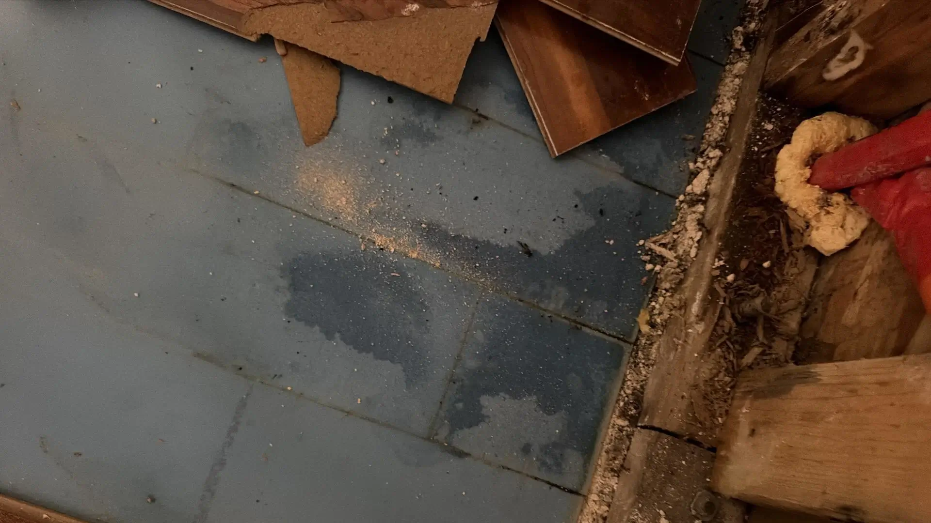 Water-stained subfloor exposed after Las Vegas flooding